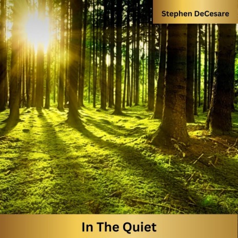 In the Quiet | Boomplay Music