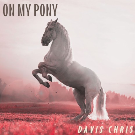 On My Pony | Boomplay Music