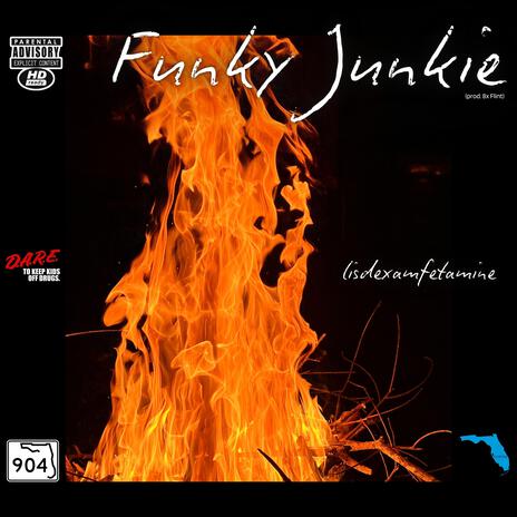 Funky Junkie | Boomplay Music