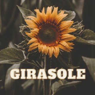 Girasole