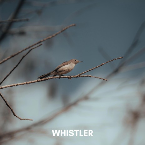 Whistler | Boomplay Music