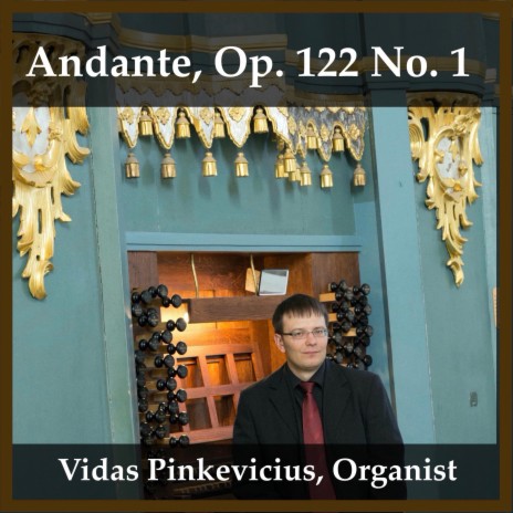 Andante, Op. 122 No. 1 | Boomplay Music