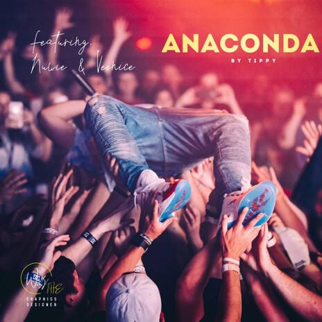 Anaconda | Boomplay Music