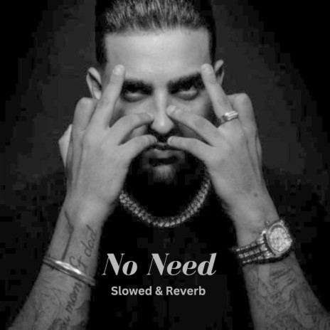 No Need (Slowed & Reverb)