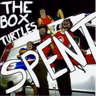 The Box Turtles