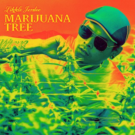 Marijuana Tree | Boomplay Music