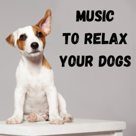 Deep Sleep Dog ft. Music For Dogs Peace, Calm Pets Music Academy & Relaxing Puppy Music
