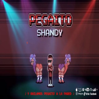 Shandy (Pegaito Remix)