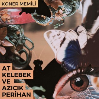 At Kelebek ve Azıcık Perihan lyrics | Boomplay Music