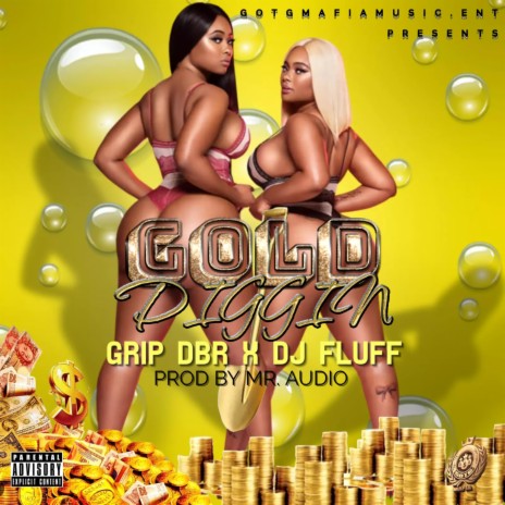 Gold Diggin ft. DJ Fluff | Boomplay Music
