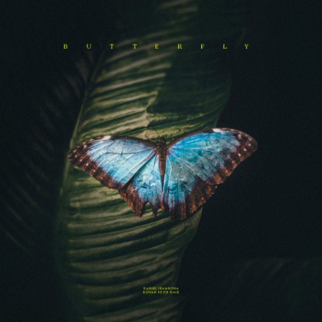 butterfly ft. Rohan Keith Nair