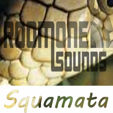 Squamata (Original Mix) | Boomplay Music