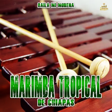 Llorar ft. Marimba Tropical De Chiapas | Boomplay Music