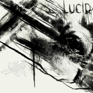 Lucid