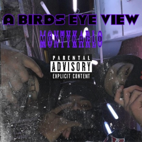 A Birds Eye View | Boomplay Music