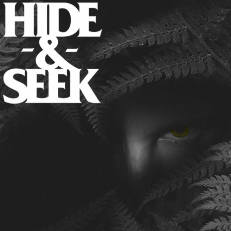 Hide & Seek ft. Jfgs & alcott | Boomplay Music