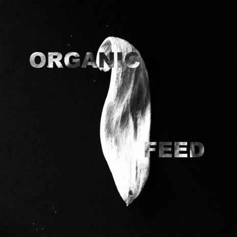 ORGANIC FEED | Boomplay Music