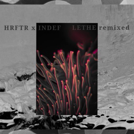 LETHE (feat. HRFTR) (remix)