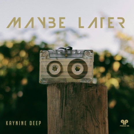 Maybe Later (Victimized Mix) | Boomplay Music