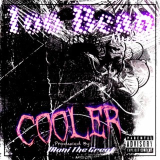 Cooler