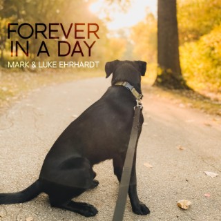 Forever in a Day lyrics | Boomplay Music
