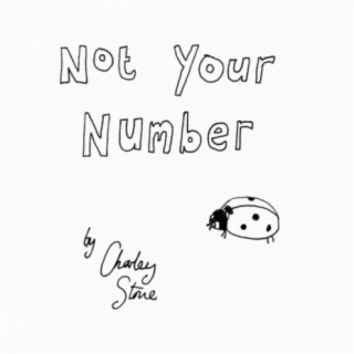 Not Your Number (2021 version) lyrics | Boomplay Music