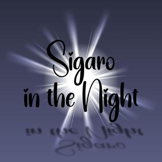 Sigaro In the Night