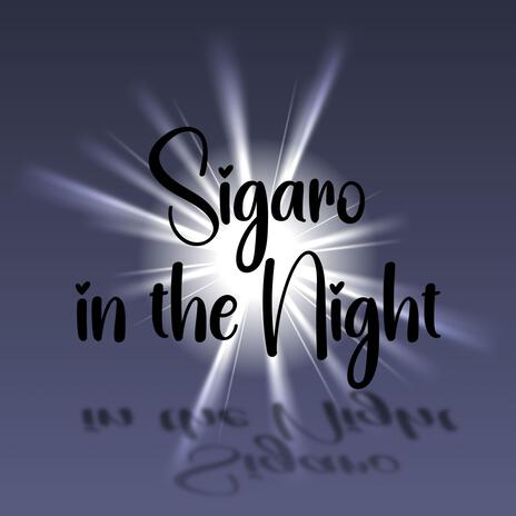 Sigaro In the Night | Boomplay Music