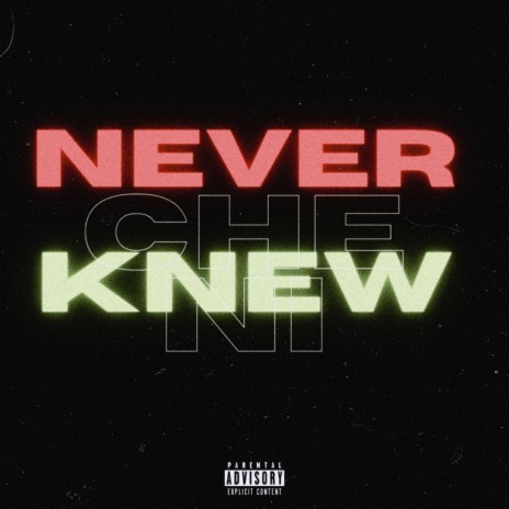 Never Knew | Boomplay Music