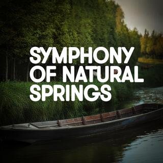 Symphony of Natural Springs