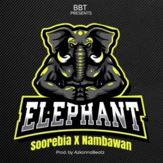 Elephant (feat. Nambawan)