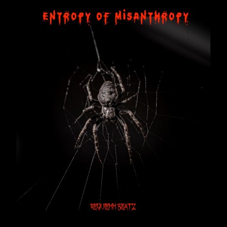 Entropy of Misanthropy (Remix) | Boomplay Music