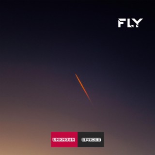 fly