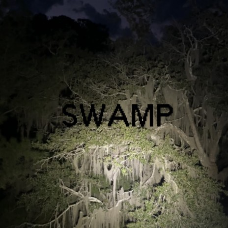 SWAMP | Boomplay Music