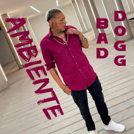 AMBIENTE | Boomplay Music