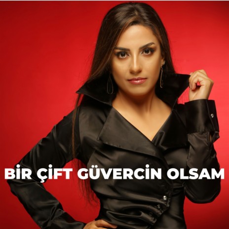 Bir Çift Güvercin Olsam | Boomplay Music