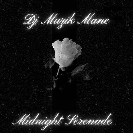 Midnight Seranade | Boomplay Music