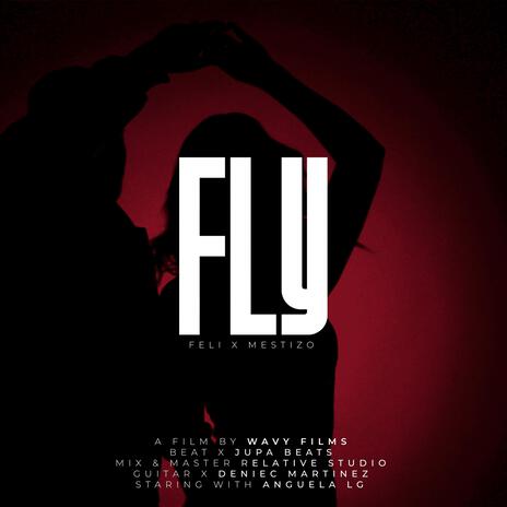 FLY ft. Mr. Mestizo & JupaBeats | Boomplay Music