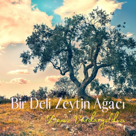 Bir Deli Zeytin Ağacı | Boomplay Music