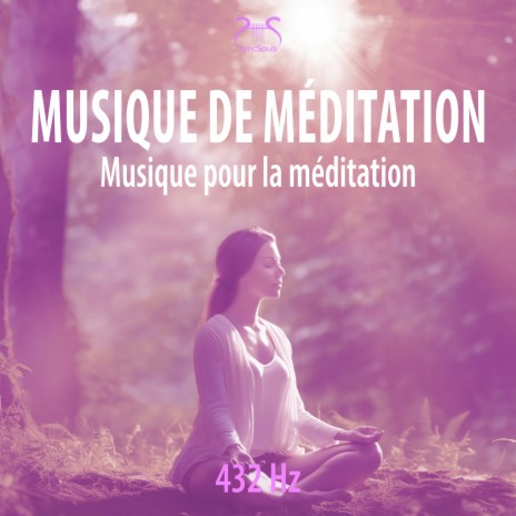 Musique de méditation (432 Hz) Dans le silence, bols chantants au bord du ruisseau ft. SyncSouls & Torsten Abrolat | Boomplay Music