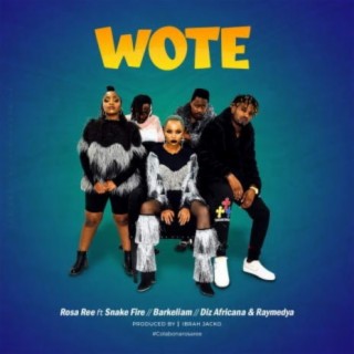 Wote ft. Snake Fire, Barkeliam, Diz Africana, & Raymedya lyrics | Boomplay Music