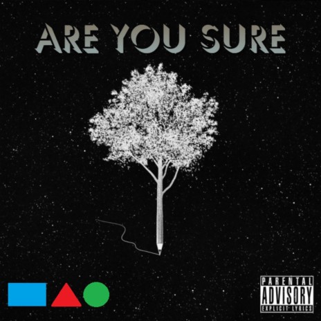 ARE YOU SURE ft. Bayden Records | Boomplay Music