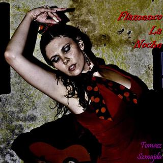 flamenco la noche