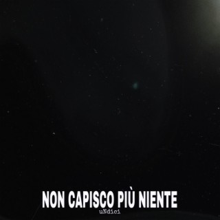 NON CAPISCO PIU' NIENTE