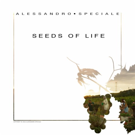 Seeds of Life, Pt. 2 | Boomplay Music