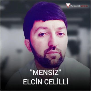 Mensiz