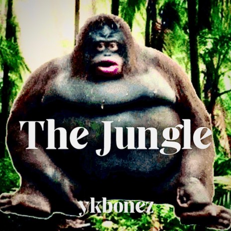 The Jungle ft. KTG Loo | Boomplay Music