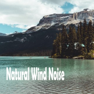 Natural Wind Noise