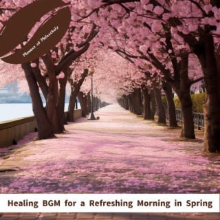 Healing Bgm for a Refreshing Morning in Spring