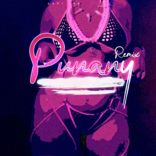 Punany (Remix)